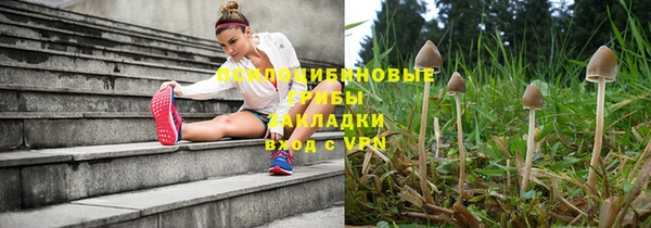 молекула духа Алексеевка