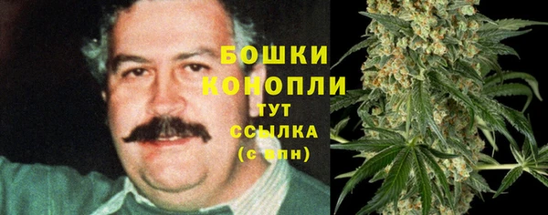 молекула духа Алексеевка