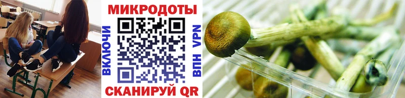 Галлюциногенные грибы Cubensis  Минусинск 