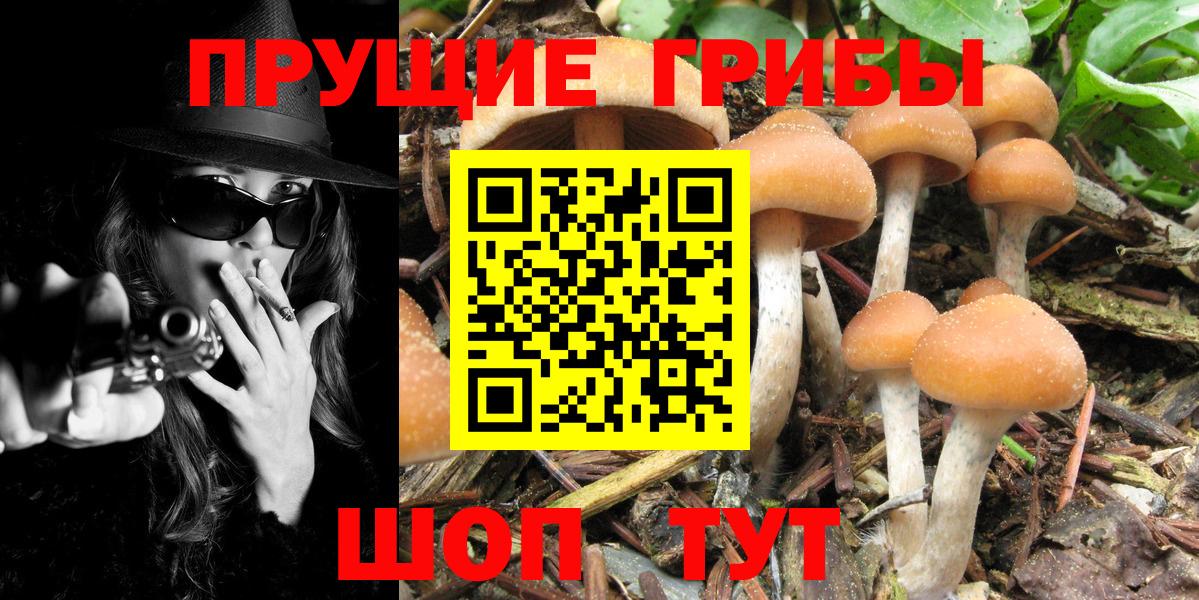 Галлюциногенные грибы мицелий  Вход с VPN  Минусинск 